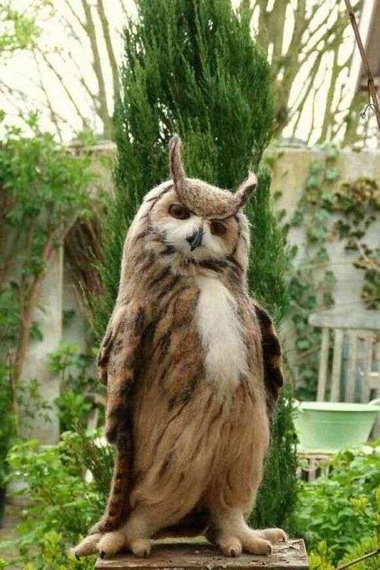 久しぶりにフクロウの画像見たい。