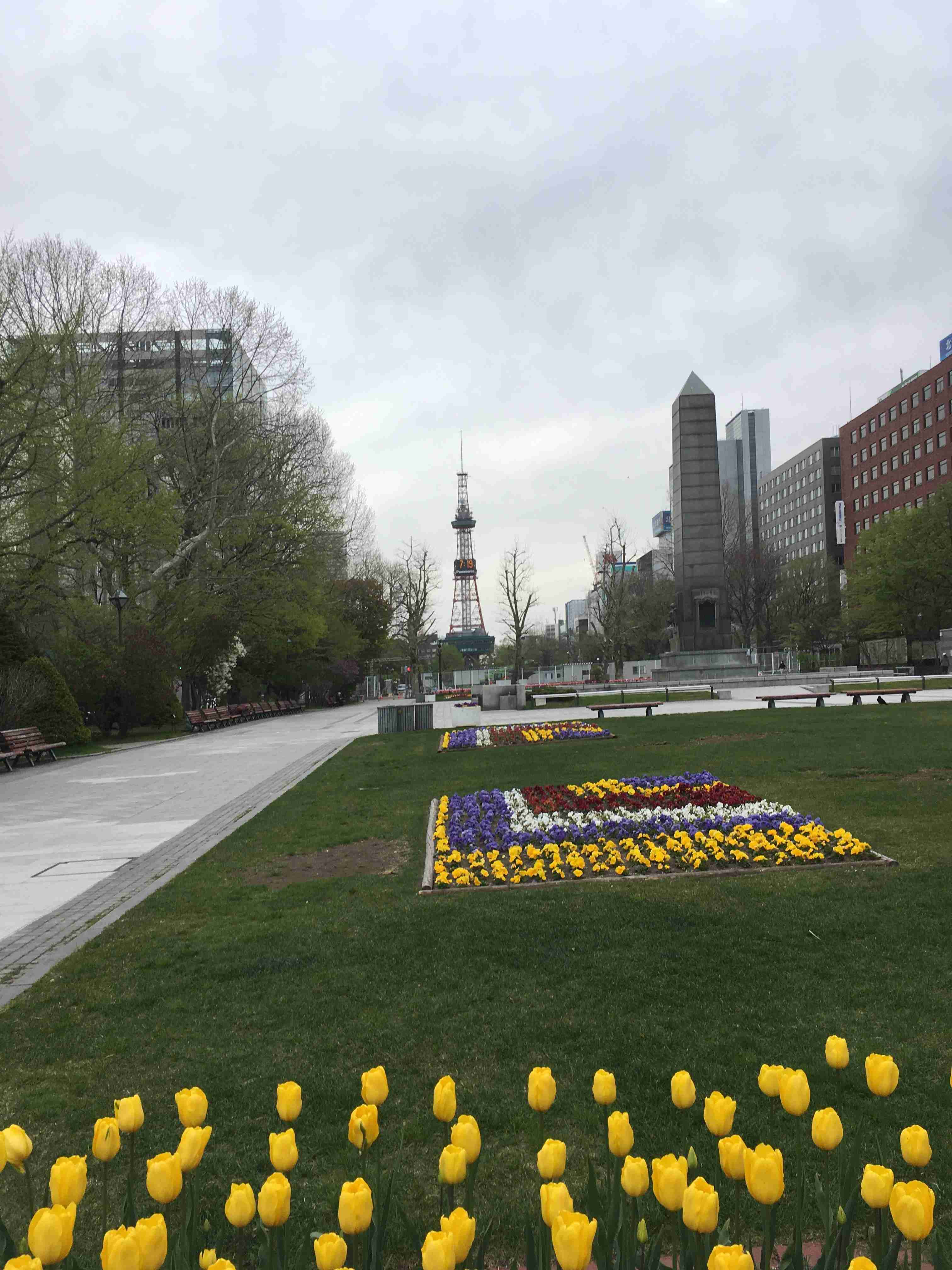 札幌市の「大通公園」がつながる? 南北に貫く“市道”の一部を廃止へ…賛否の声 暮らしに影響は