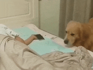 親切な人だなと思った行動Part2