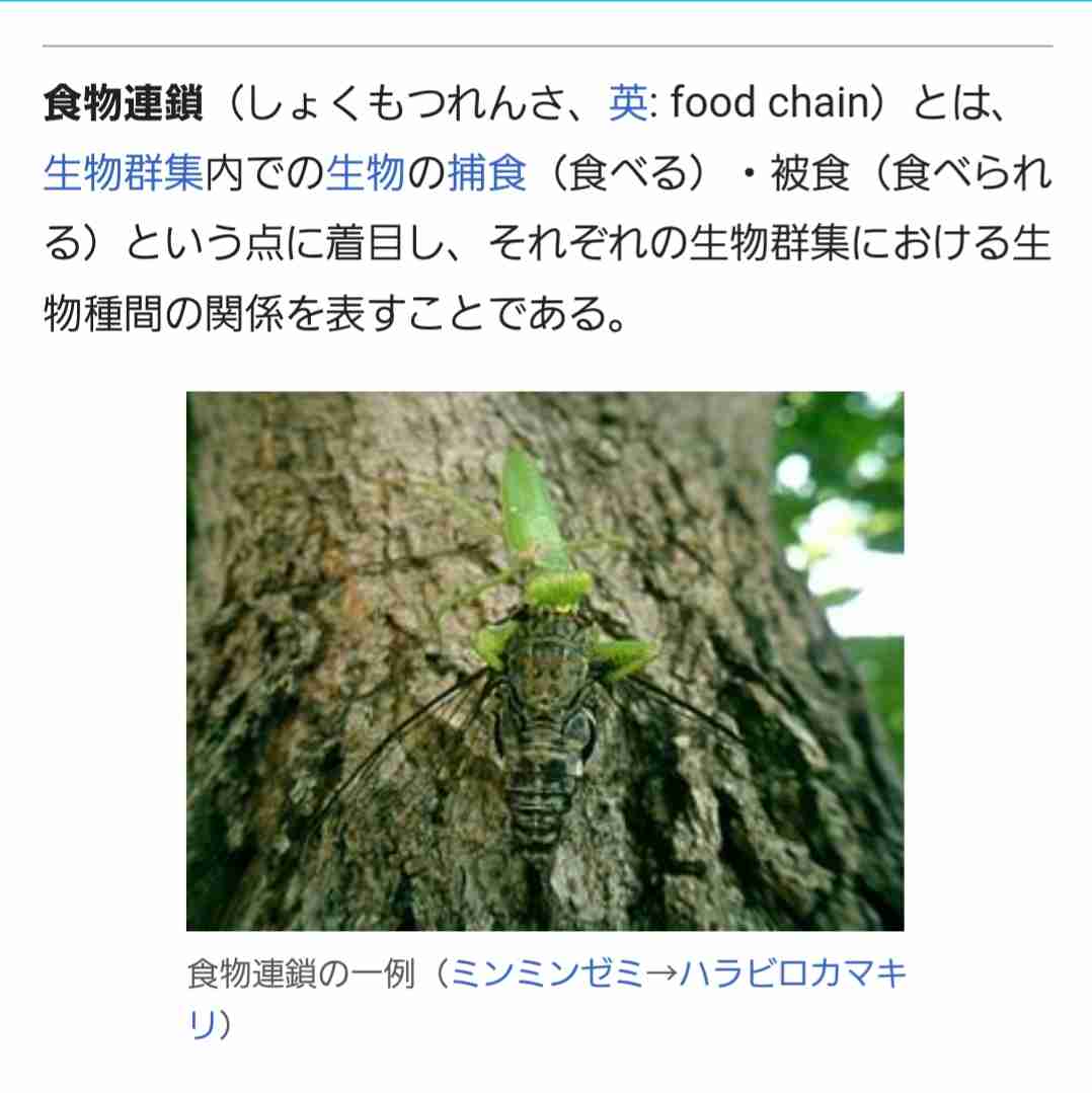 豚約7700匹焼け死ぬ、豚舎5棟が全焼　岩手・八幡平市