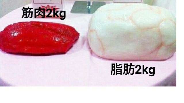 【ホラー以外】恐ろしい画像を貼るトピ Part2