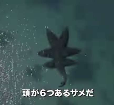 【ホラー以外】恐ろしい画像を貼るトピ Part2