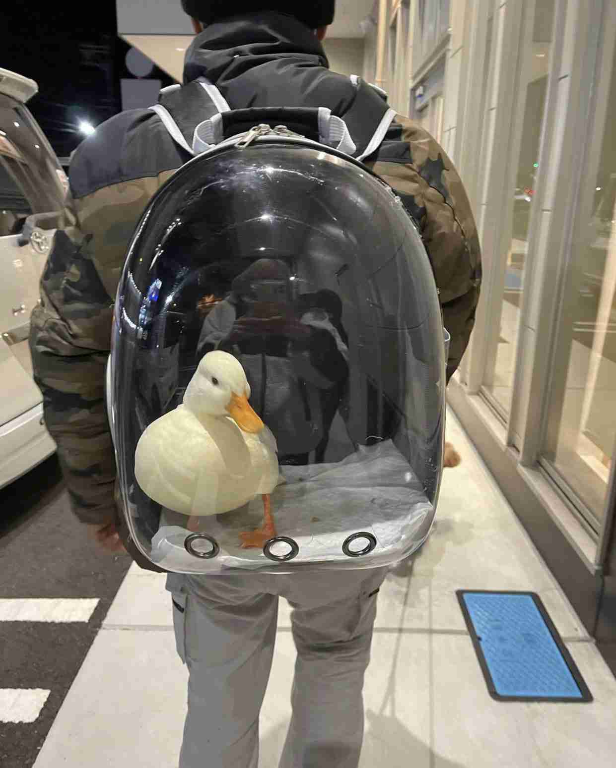 【ホラー以外】恐ろしい画像を貼るトピ Part2