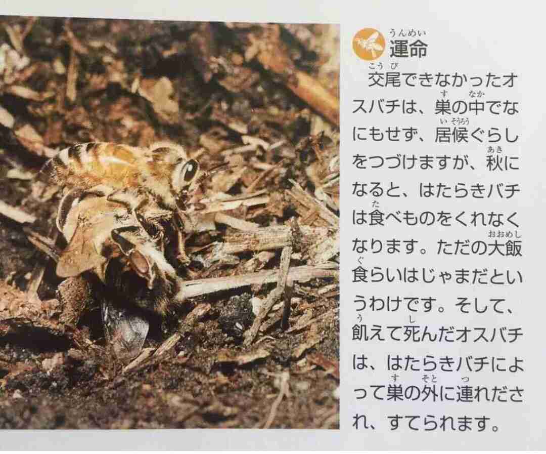 【ホラー以外】恐ろしい画像を貼るトピ Part2