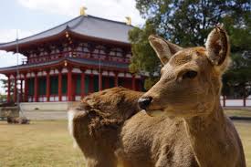 住んでてよく行く観光地