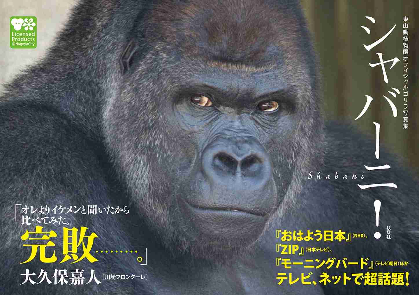 男性の顔で1番重要なパーツはなんだと思いますか
