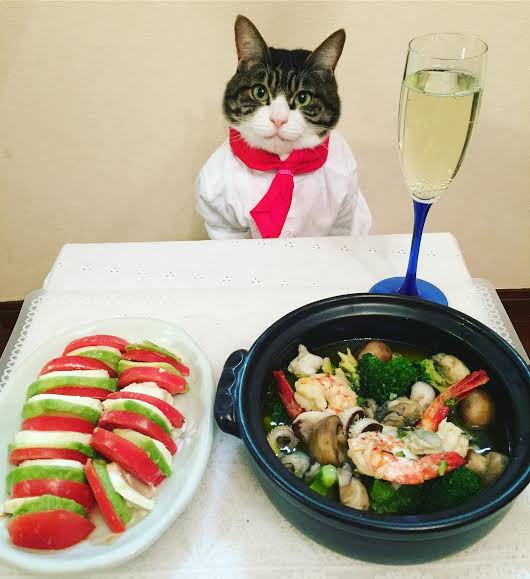 料理代行について。