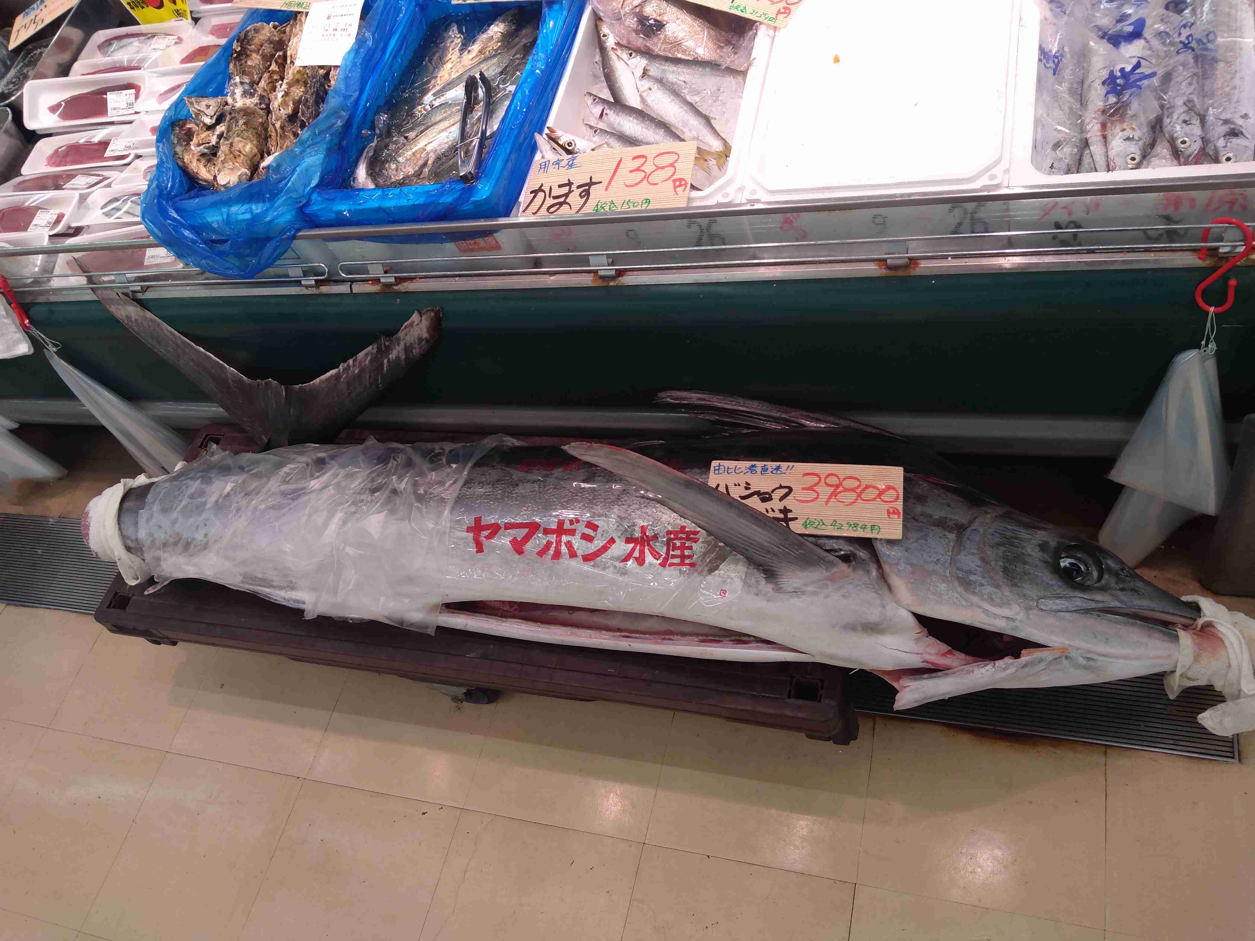 どうしても見せたい画像がある人の貼り場トピ