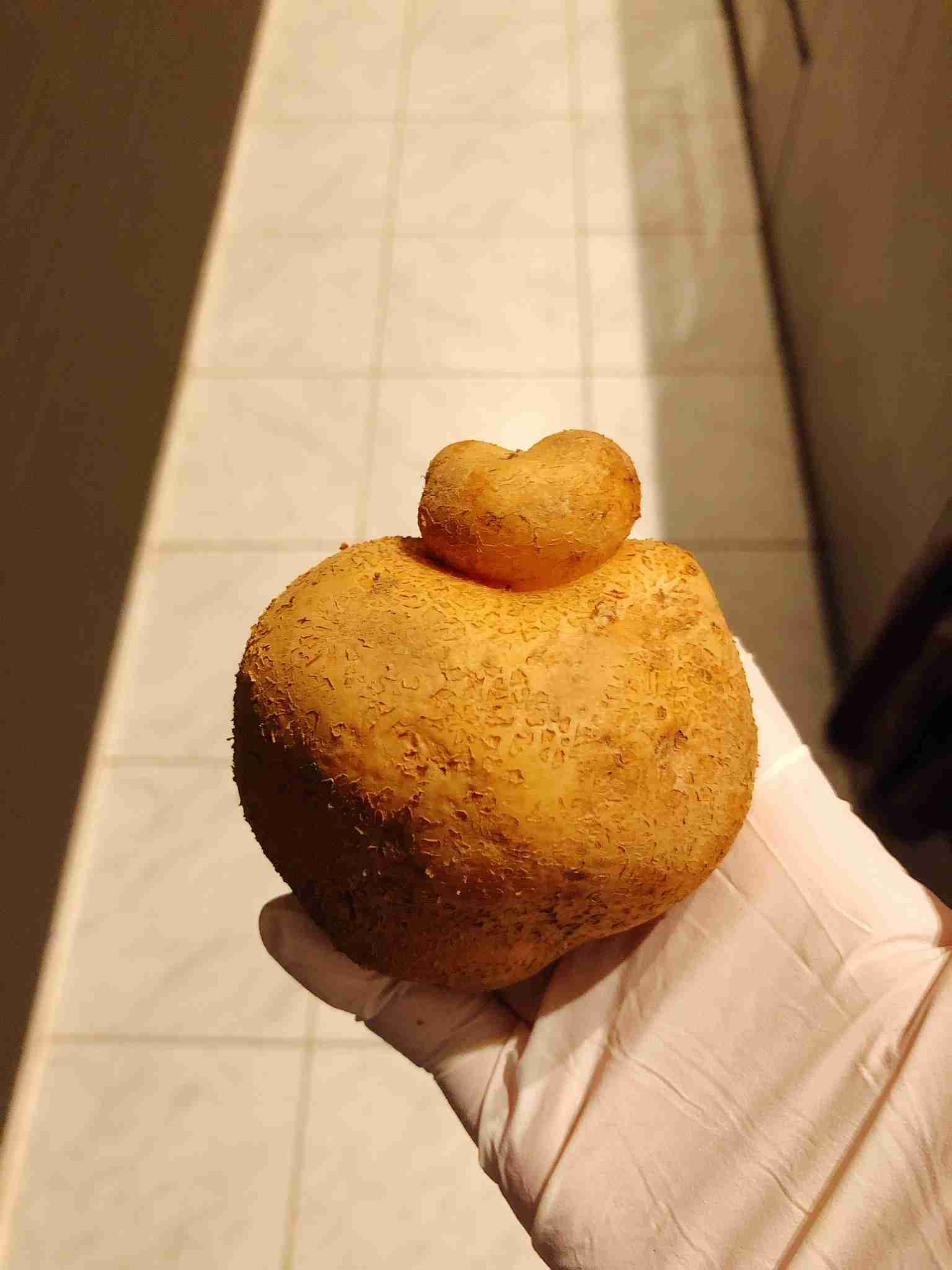 どうしても見せたい画像がある人の貼り場トピ