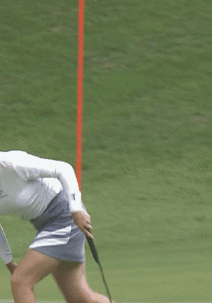 どうしても見せたい画像がある人の貼り場トピ