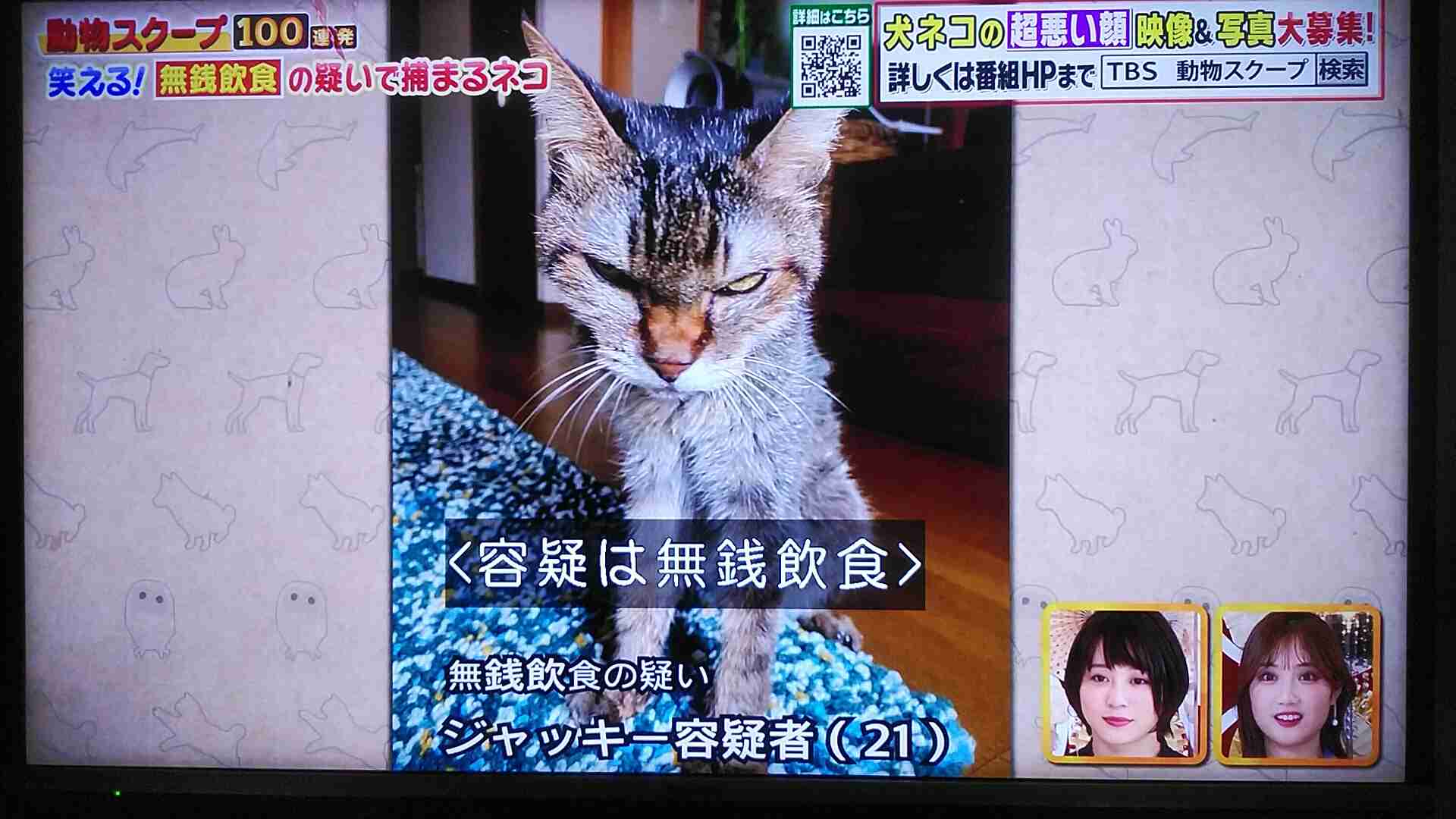 どうしても見せたい画像がある人の貼り場トピ