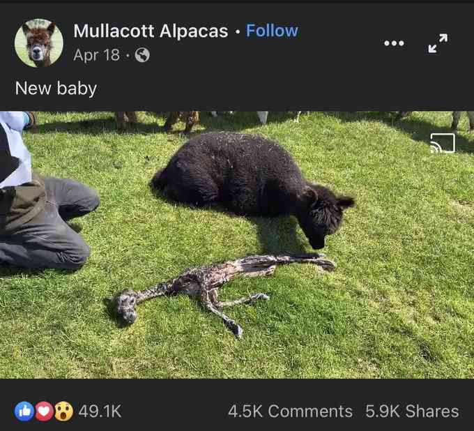 どうしても見せたい画像がある人の貼り場トピ