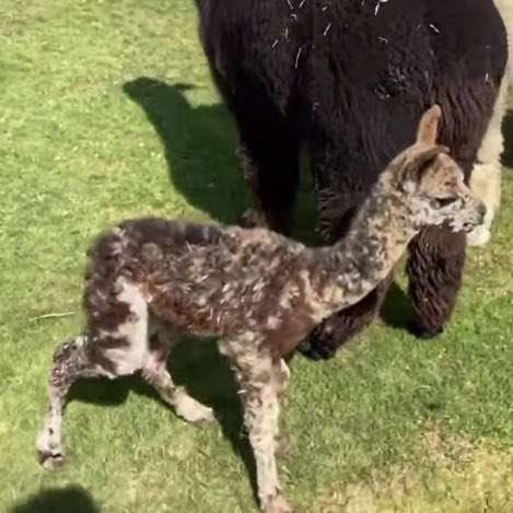 どうしても見せたい画像がある人の貼り場トピ