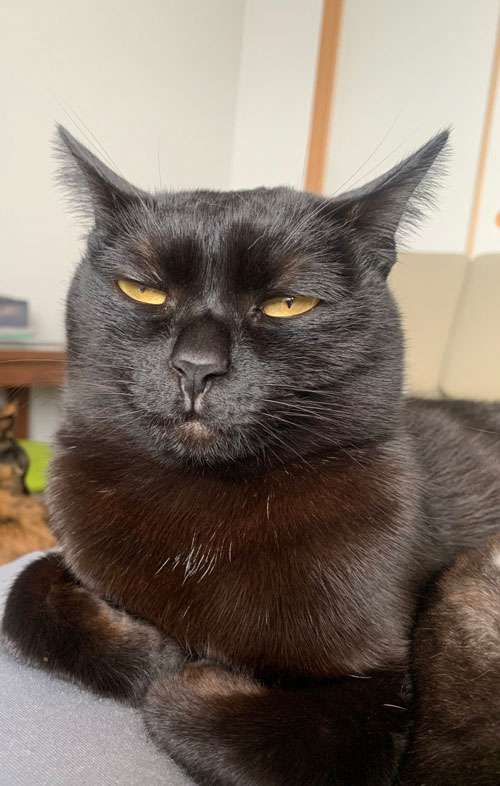 どうしても見せたい画像がある人の貼り場トピ