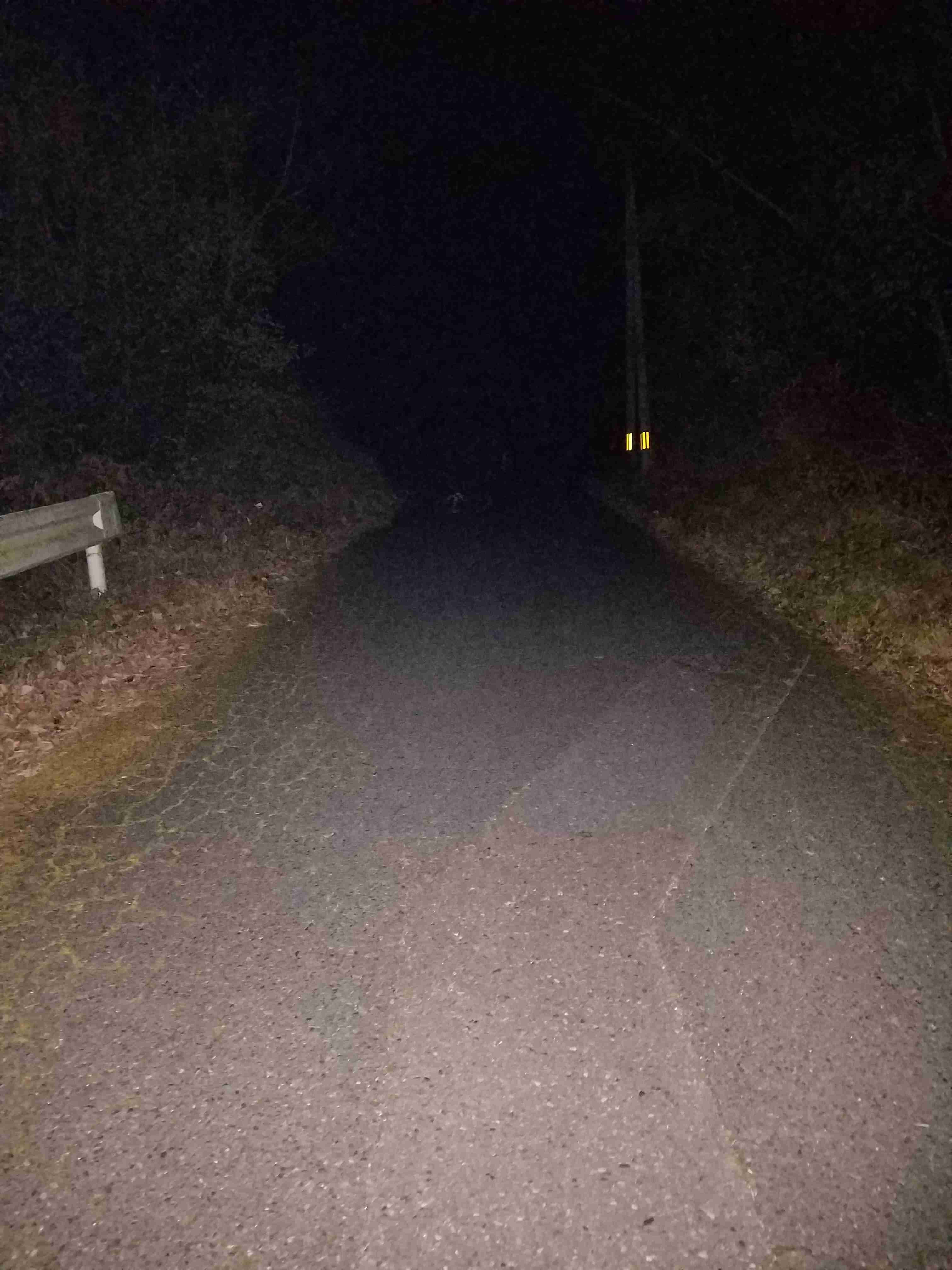 どうしても見せたい画像がある人の貼り場トピ