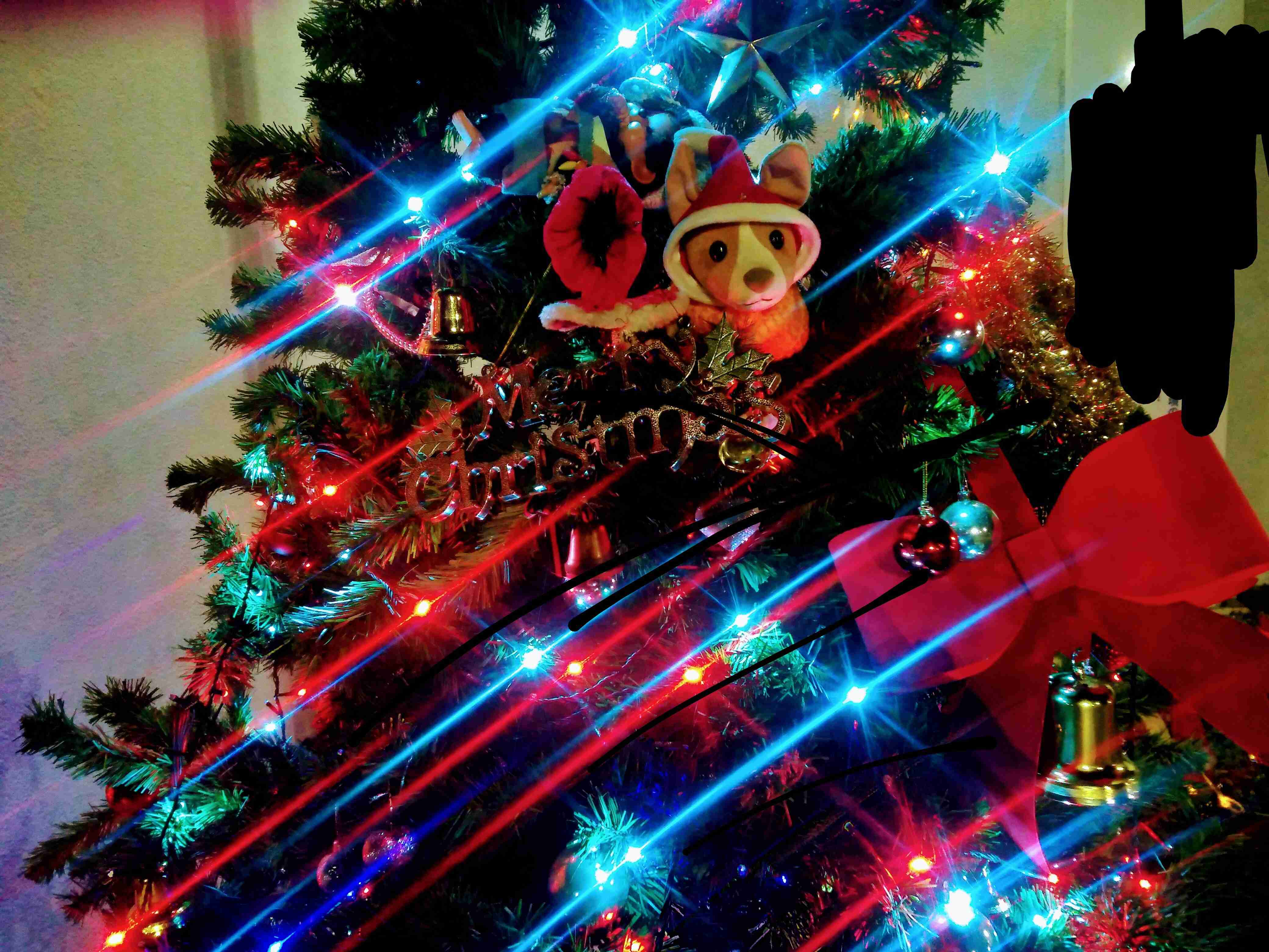 どうしても見せたい画像がある人の貼り場トピ