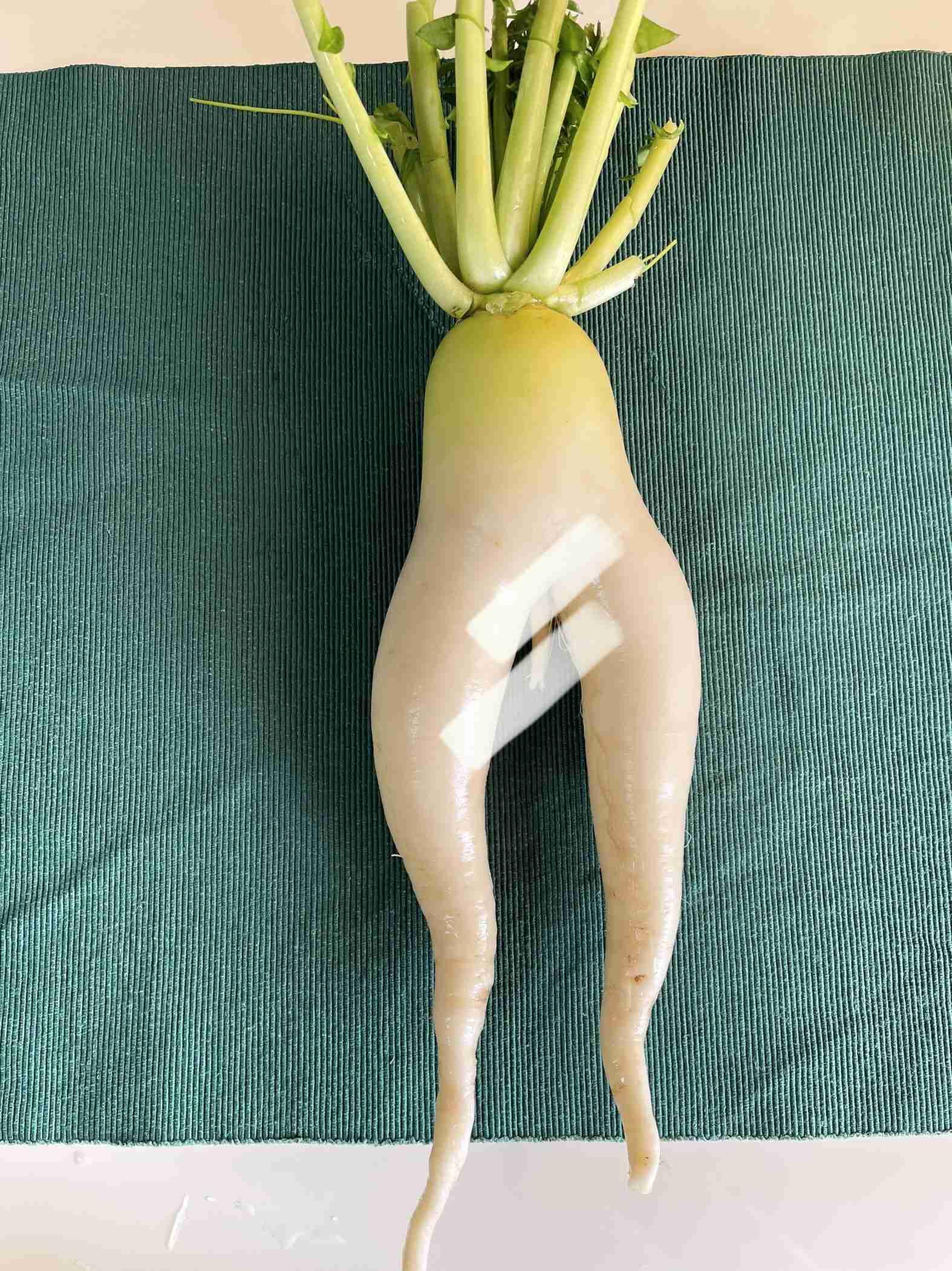 どうしても見せたい画像がある人の貼り場トピ