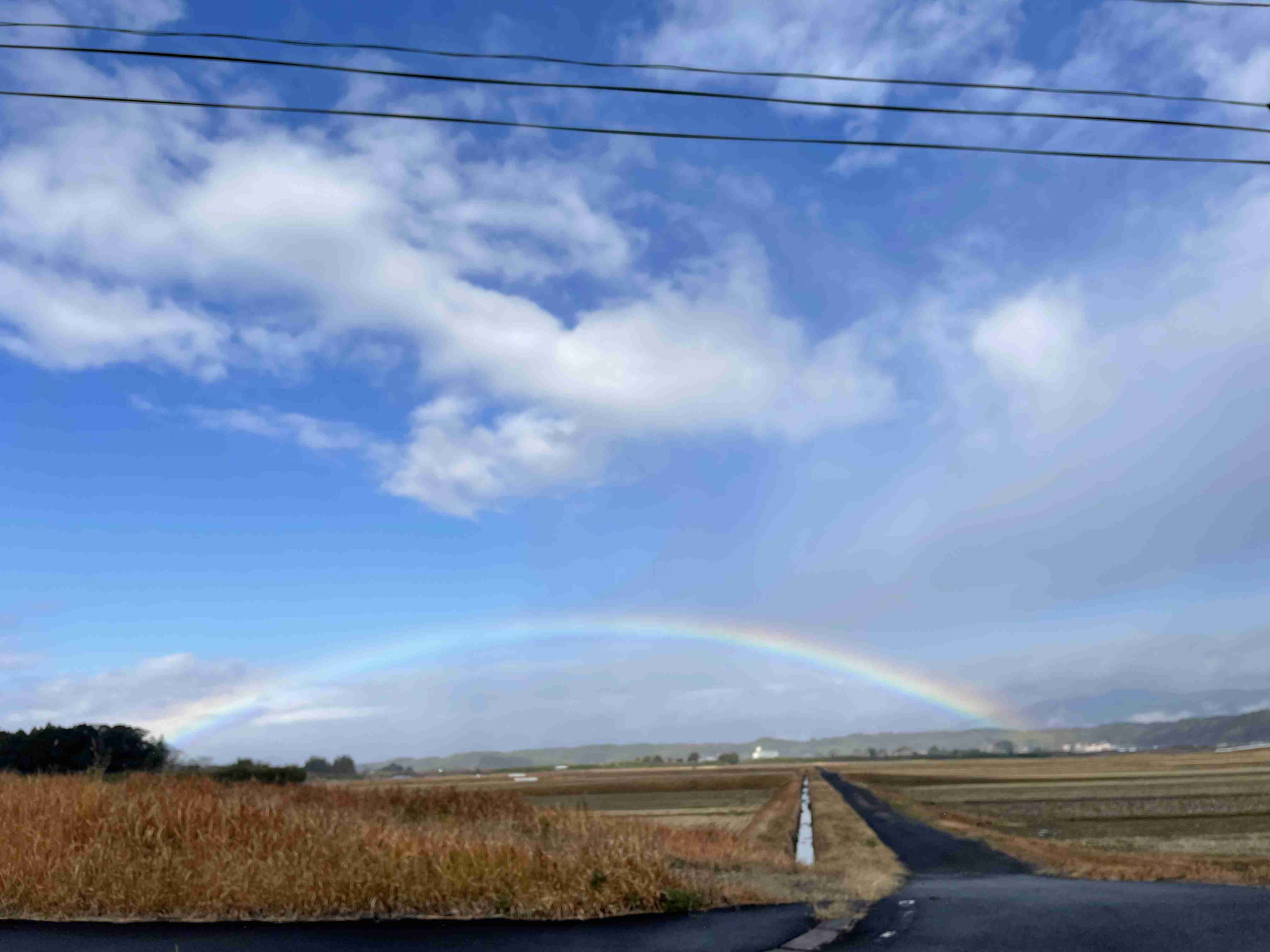 どうしても見せたい画像がある人の貼り場トピ