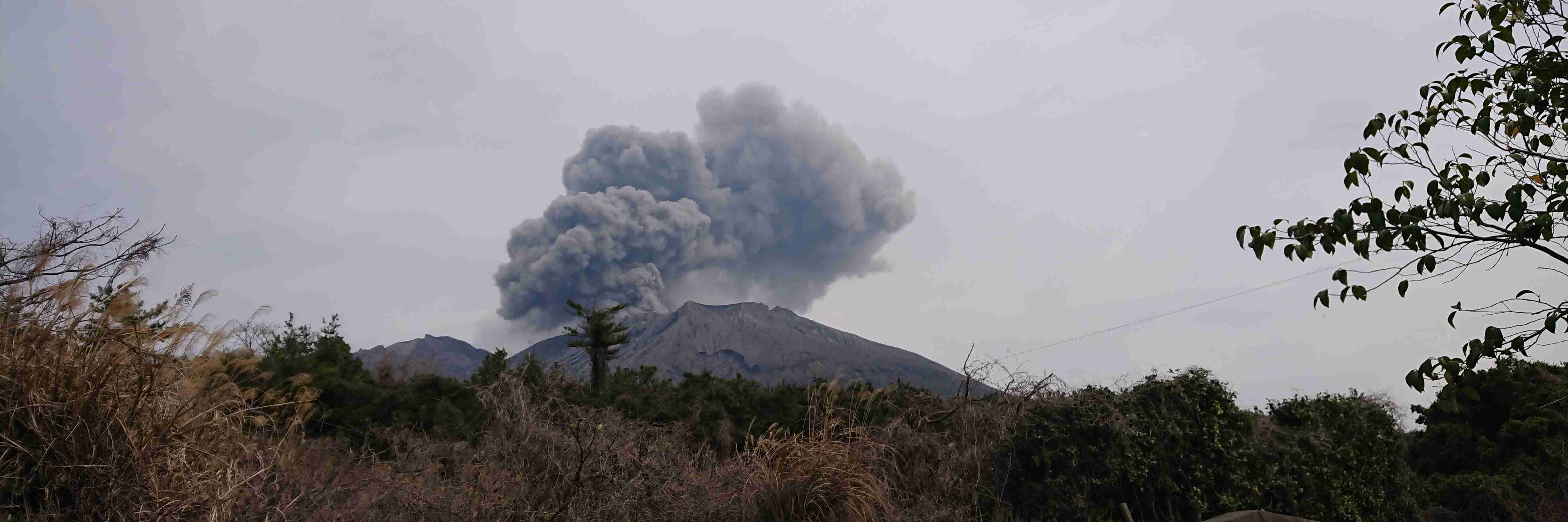 どうしても見せたい画像がある人の貼り場トピ