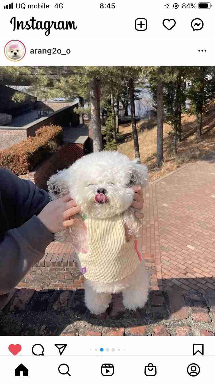 どうしても見せたい画像がある人の貼り場トピ