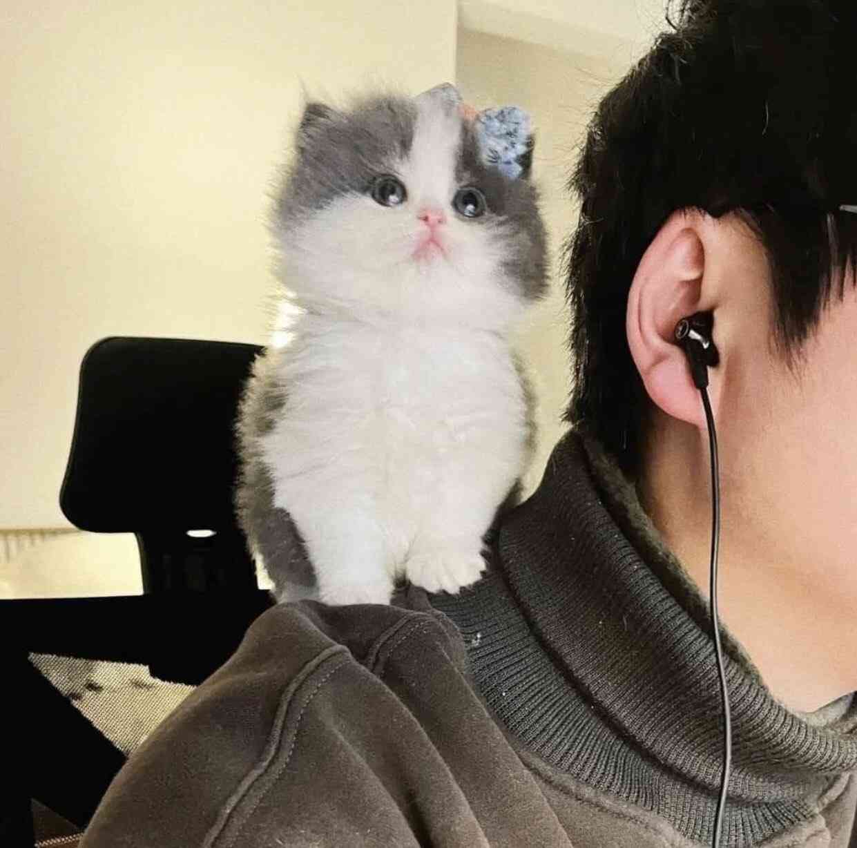 どうしても見せたい画像がある人の貼り場トピ