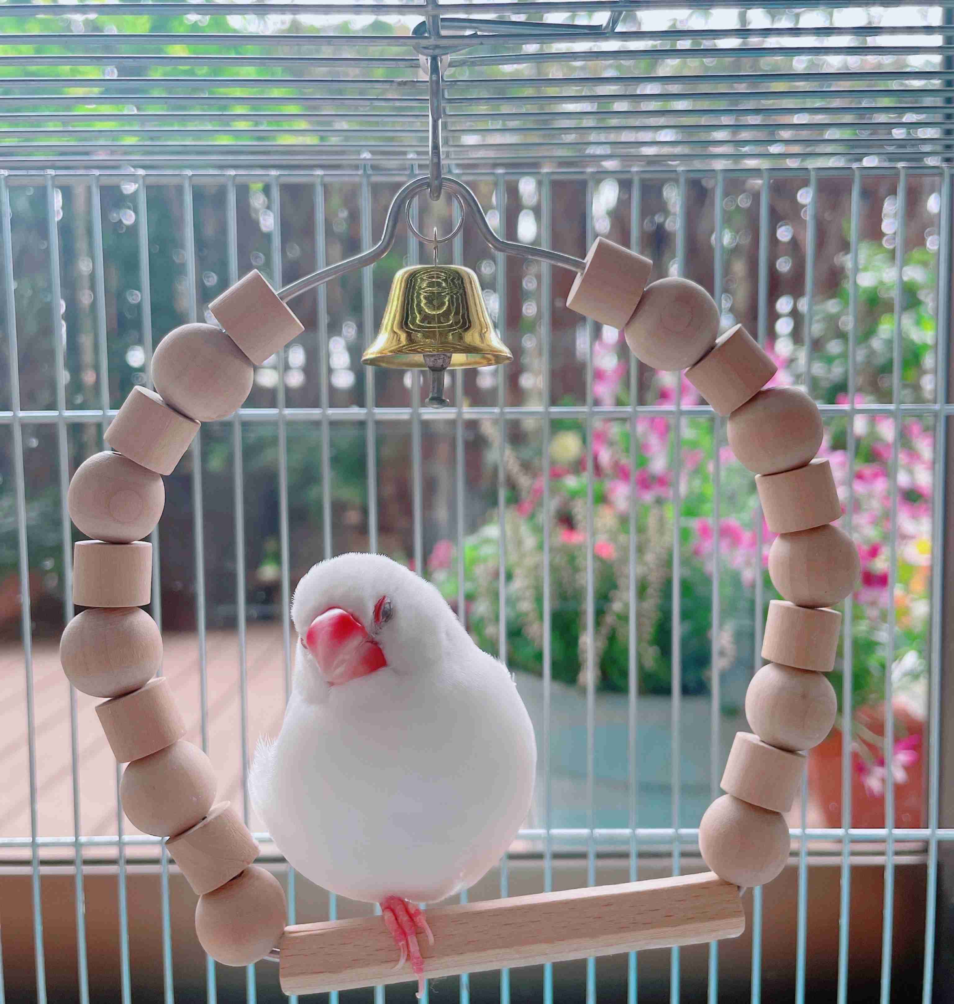 どうしても見せたい画像がある人の貼り場トピ