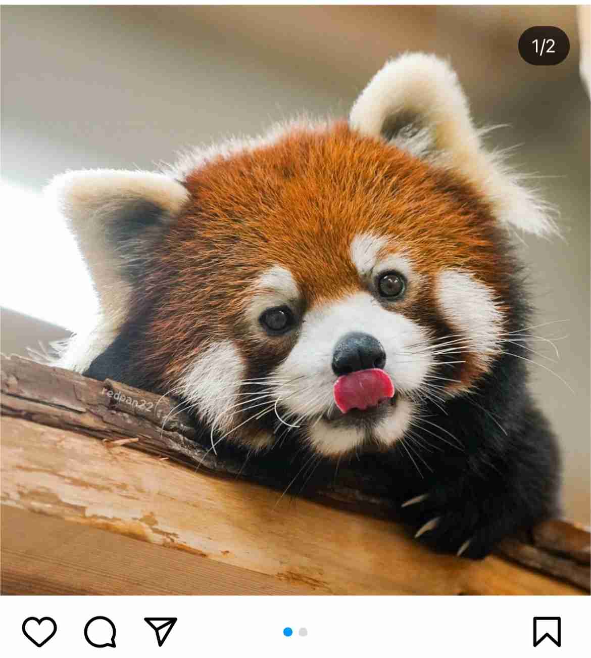 どうしても見せたい画像がある人の貼り場トピ