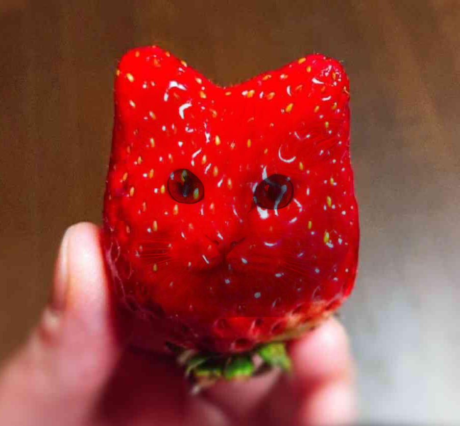 どうしても見せたい画像がある人の貼り場トピ