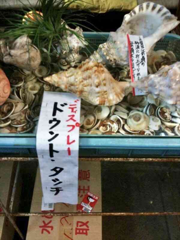 どうしても見せたい画像がある人の貼り場トピ