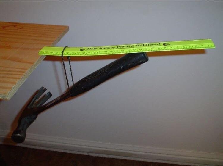 一瞬我が目を疑うような画像を貼るトピ