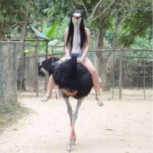 一瞬我が目を疑うような画像を貼るトピ