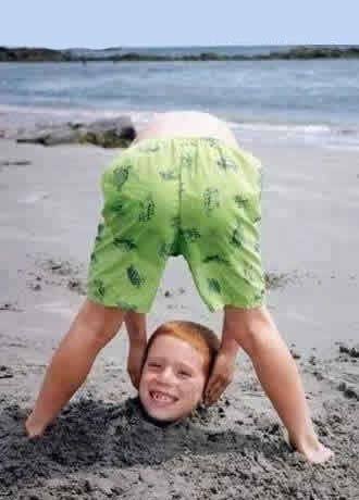 一瞬我が目を疑うような画像を貼るトピ