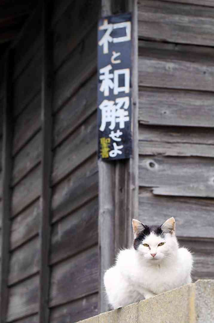一瞬我が目を疑うような画像を貼るトピ