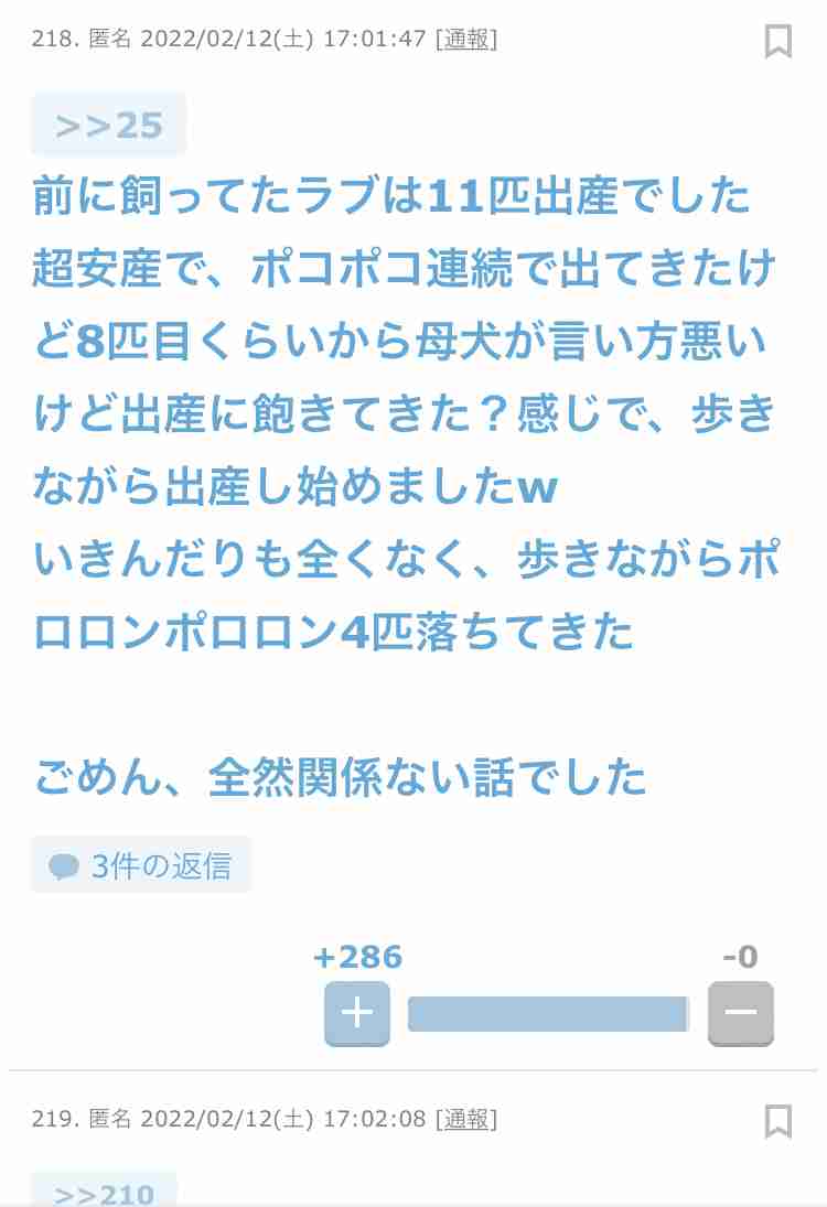 ガルちゃんで見た優しい・癒されるコメント part2