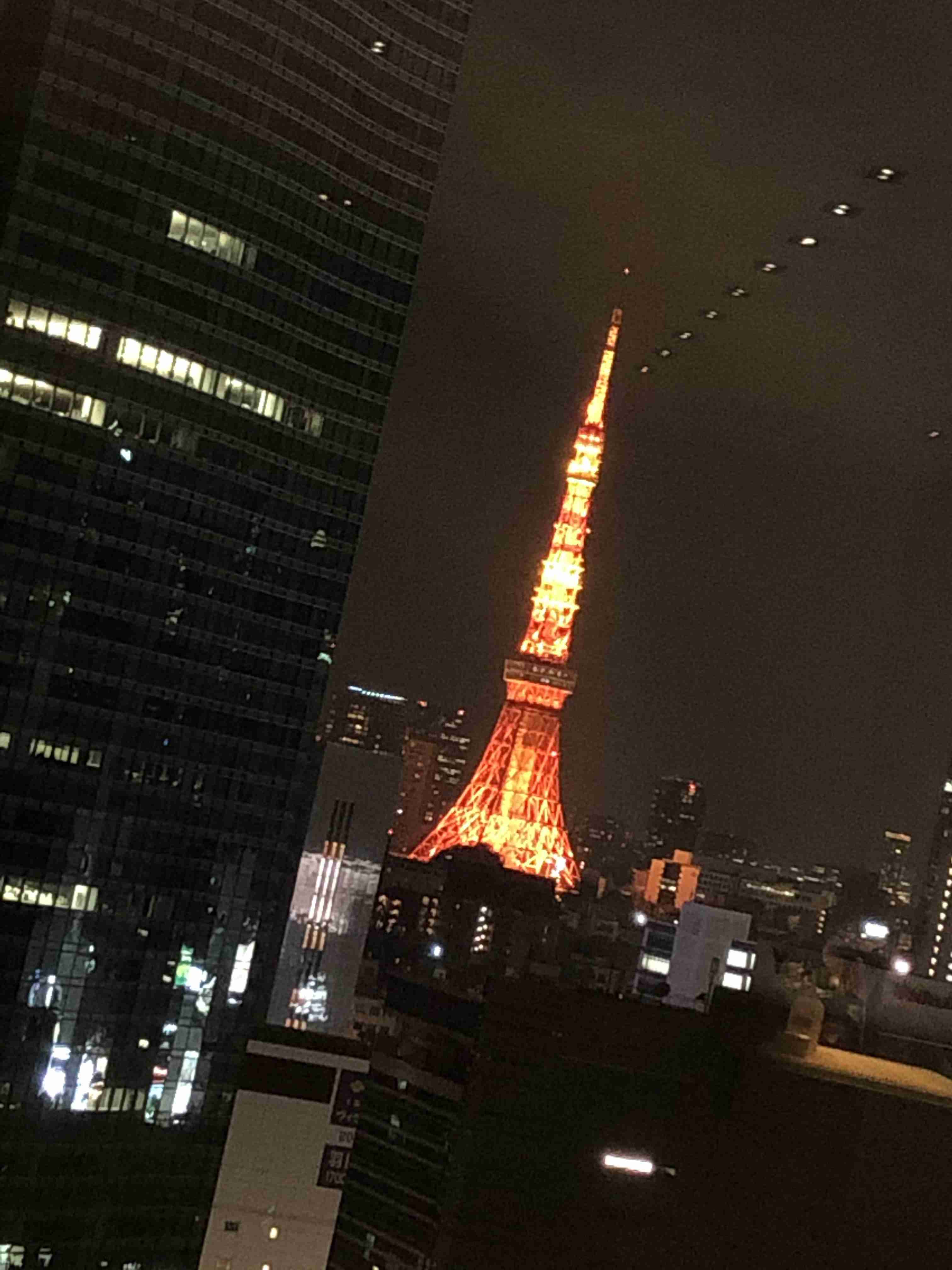 東京で1番「東京」を感じれる場所