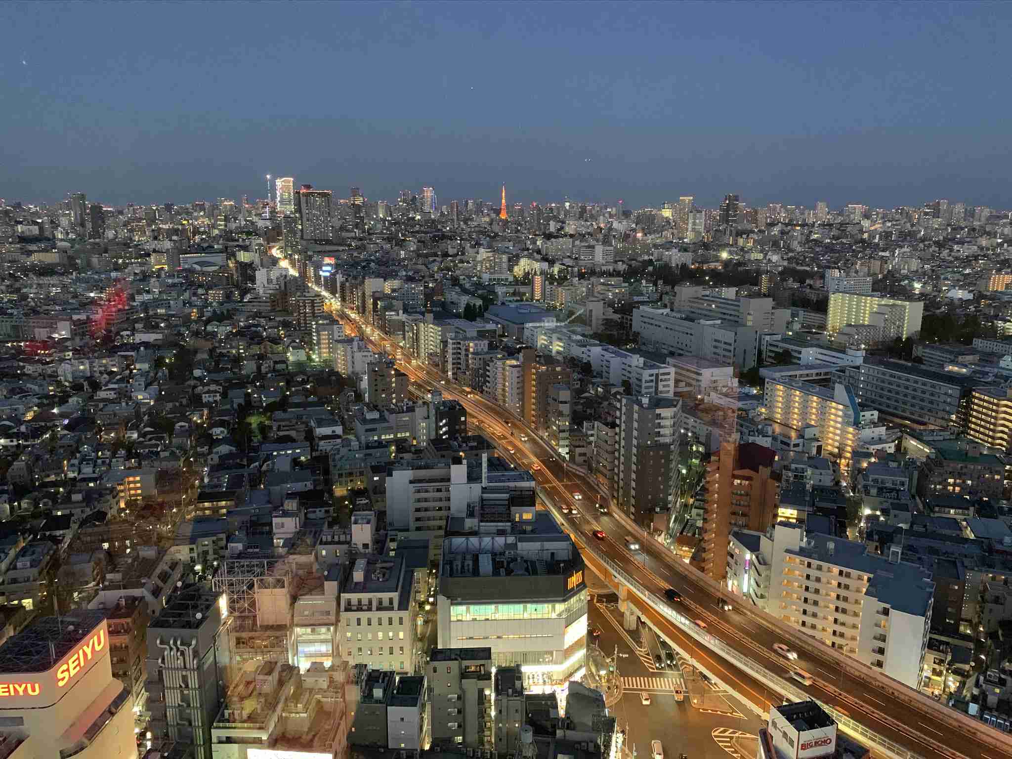 東京で1番「東京」を感じれる場所