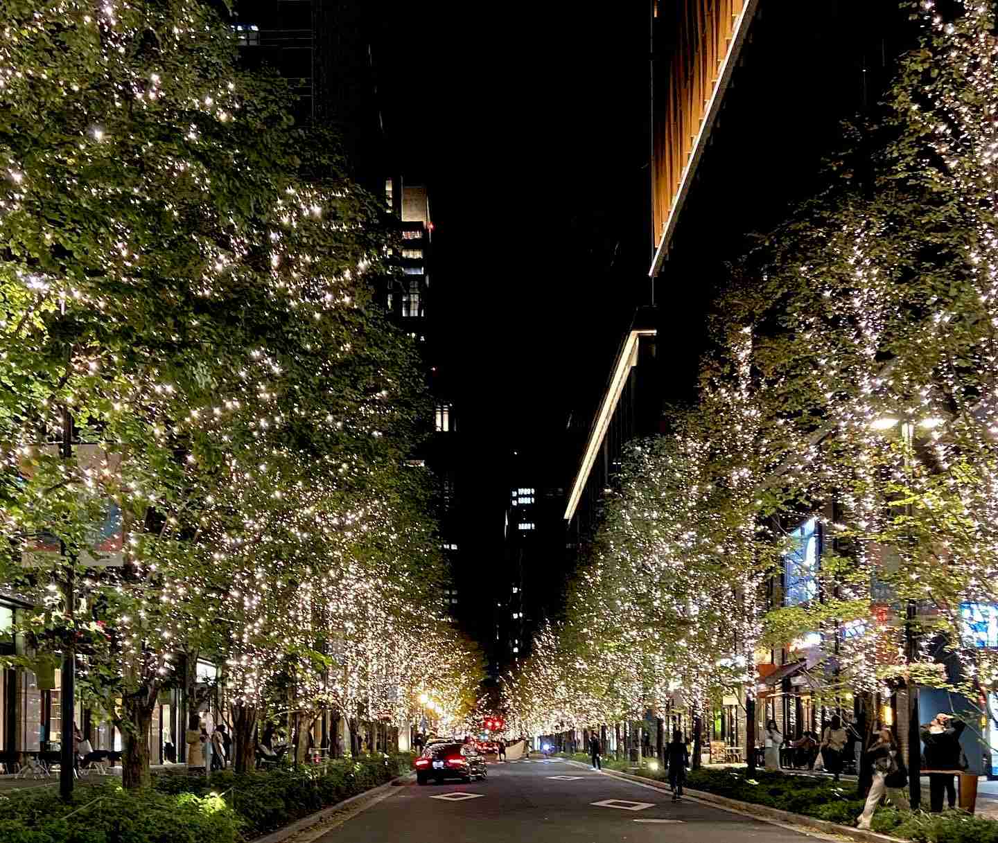 東京で1番「東京」を感じれる場所