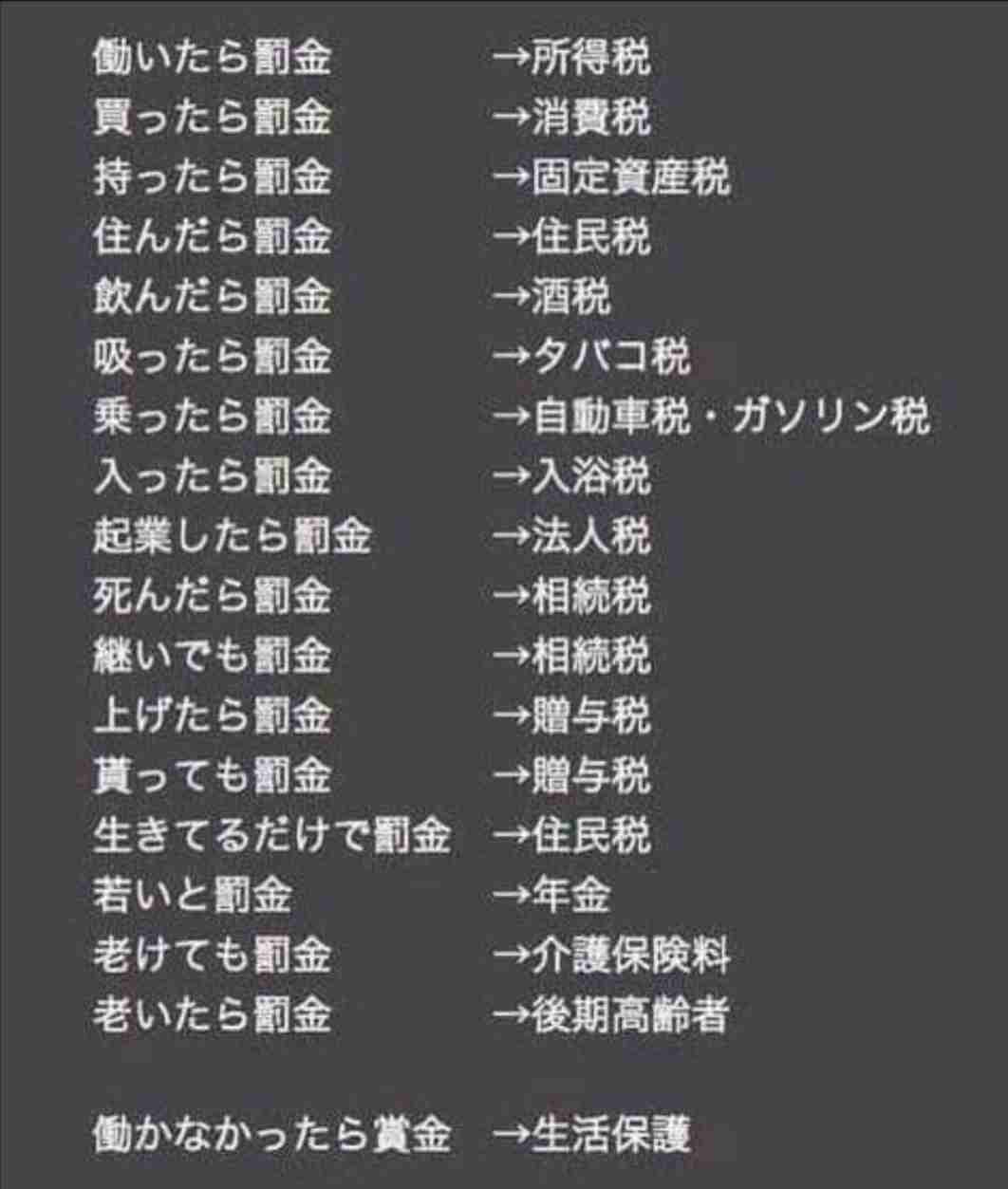 <独自>政府専用機でウクライナ避難民を日本移送へ