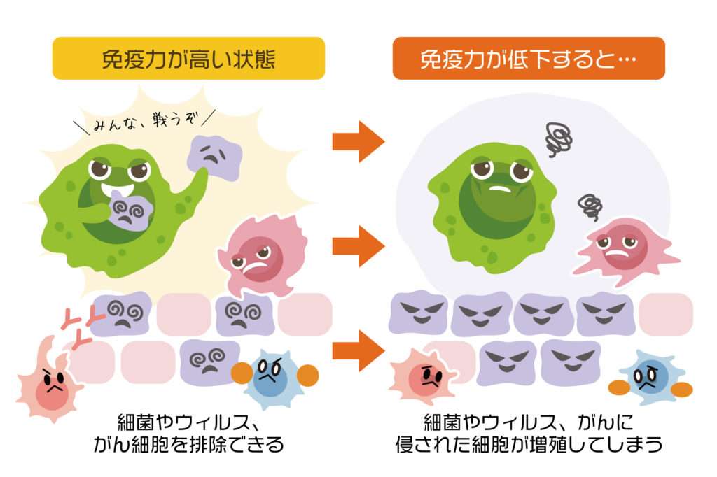 【独自】ワクチン4回目接種 政府5月開始目指す