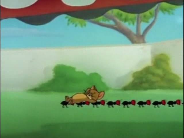 トムとジェリーが好き!
