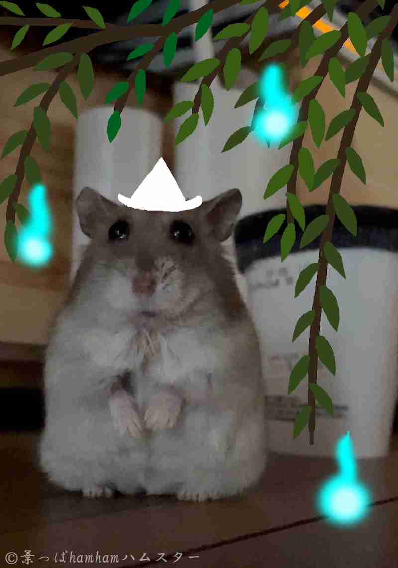 賃貸契約の時に気を付けた方がいいこと