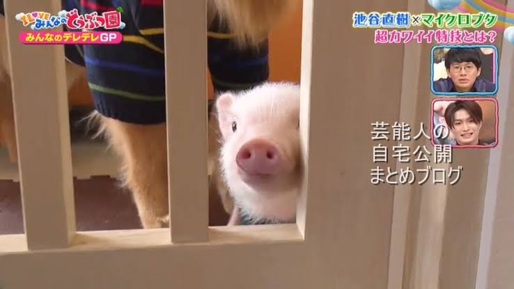 解雇による心の傷　Part2