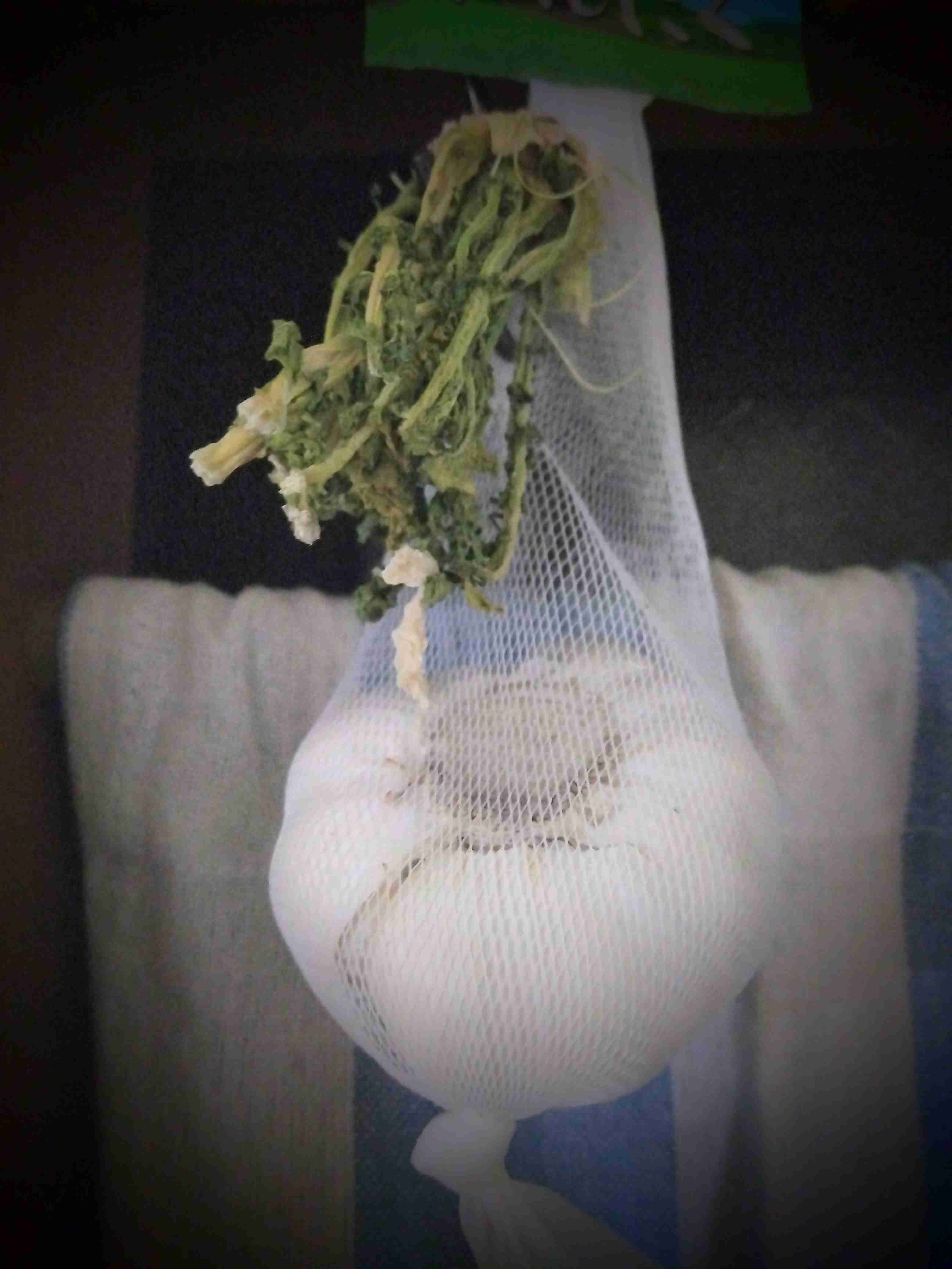 春だけど、ぼっちです