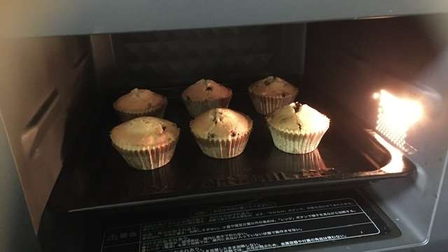 春だけど、ぼっちです