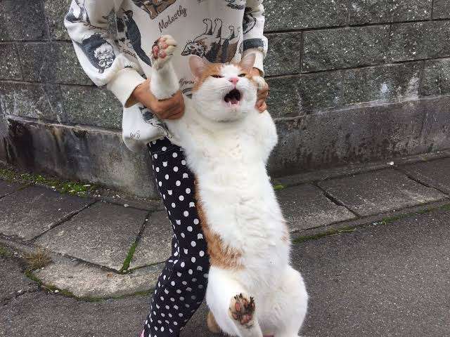 【職場】態度に出ない人になるには