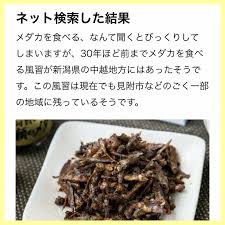 メダカ倶楽部　part9