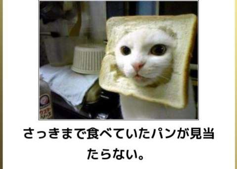 気付くのが遅かったなぁ…と思うこと