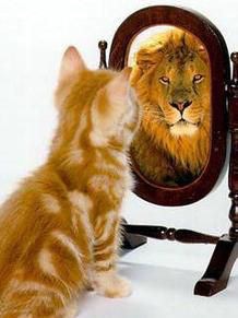 突然鳴き出した猫、不審に思い様子確認…ブロック塀に女子中学生の風呂のぞく男「中の人は見えず」