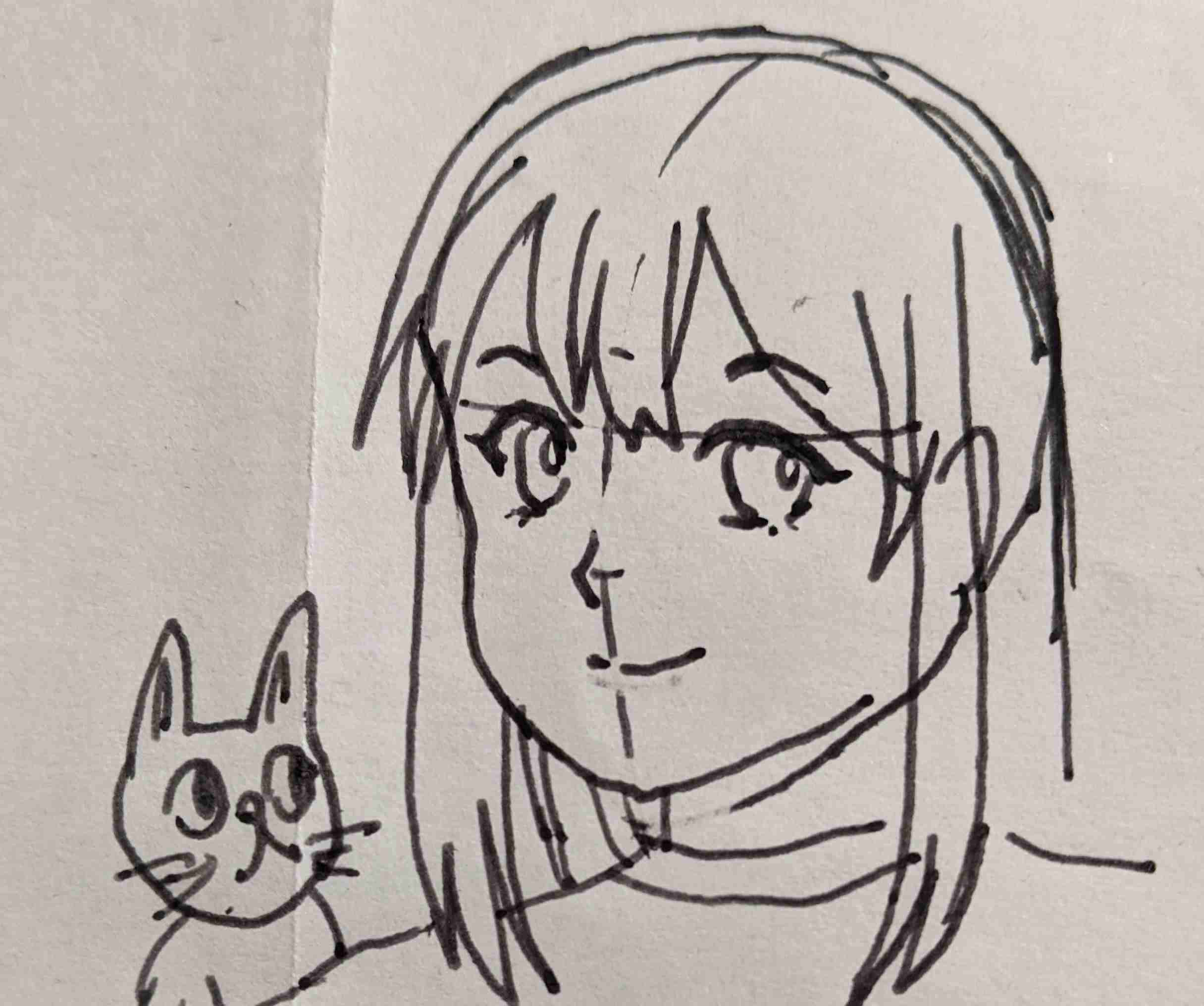 (遊)自分の特徴書いたら誰かが似顔絵描いてくれるトピ