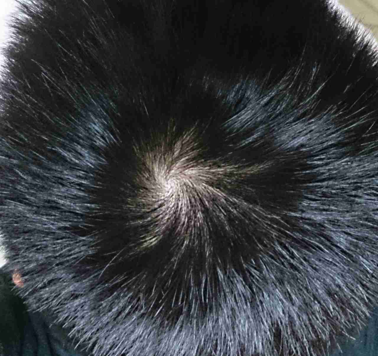 食事に関する疑問を聞くトピ